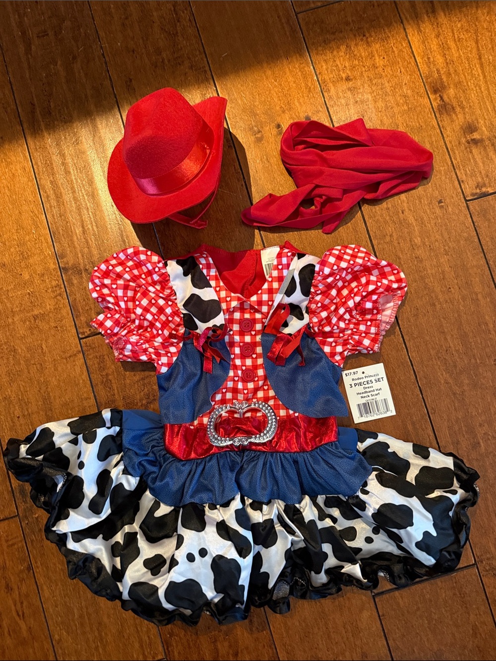 Kids Red Cowgirl Costume Dress with Hat and Scarf - NWT - 2T